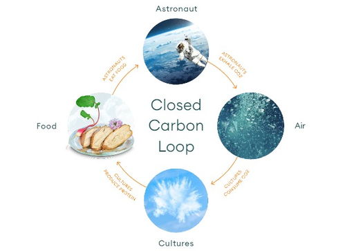 空气制肉 无需植物的生物科技新革命