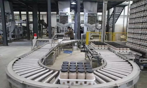 科技赋能农业新篇章 西南最大食用菌工厂化项目在万盛投产，引领生物科技新突破