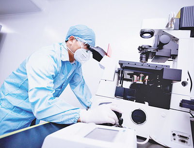 细胞工厂 生物制造如何高效驱动未来产业