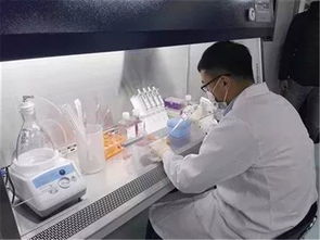 博隆基因 打造国家级基因工程抗体研究中心，助推生物科技研究迈上新台阶