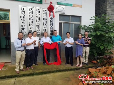 科技之花绽放临川，食用菌产业赋能乡村振兴——江西省科技厅临川食用菌科技特派员科技示范基地正式挂牌